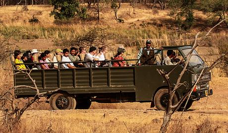 canter safari in corbett