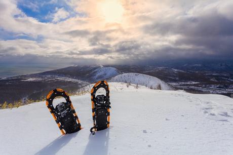 Snowshoes FAQs