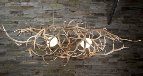 Antlers as Artistic Lighting