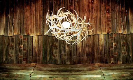 Antlers as Artistic Lighting