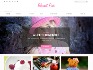 Top 20 WordPress Portfolio Themes 2016