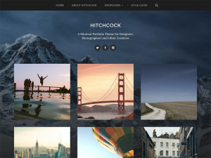 Top 20 WordPress Portfolio Themes 2016