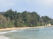 Traveling Andamans