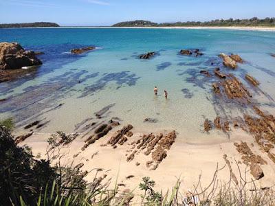 Broulee, Australia: Pristine Beaches and Friendly Wildlife, Guest Post by Tom Scheaffer