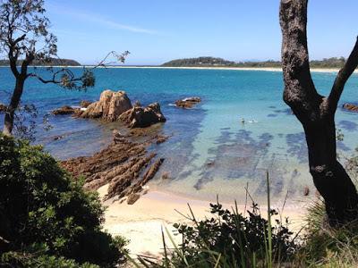 Broulee, Australia: Pristine Beaches and Friendly Wildlife, Guest Post by Tom Scheaffer