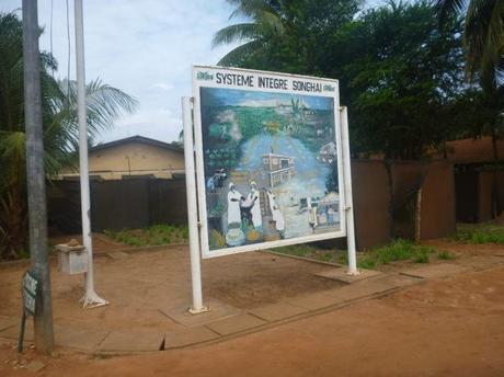 Backpacking in Benin: Visiting the Capital City, Porto Novo “Baby” Backpacking in Benin: Visiting the Capital City, Porto Novo “Baby”