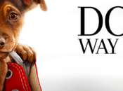 Dog’s Home” Theaters Friday January 11th