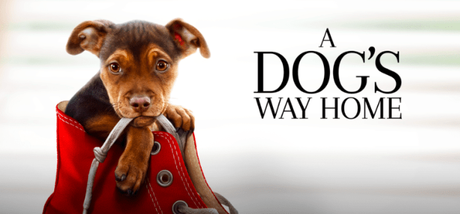 “A Dog’s Way Home” In Theaters Friday January 11th