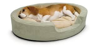 Getting the Best Dog Beds