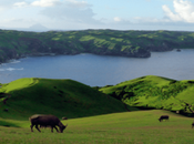 Reasons Should Visit Philippines This Winter