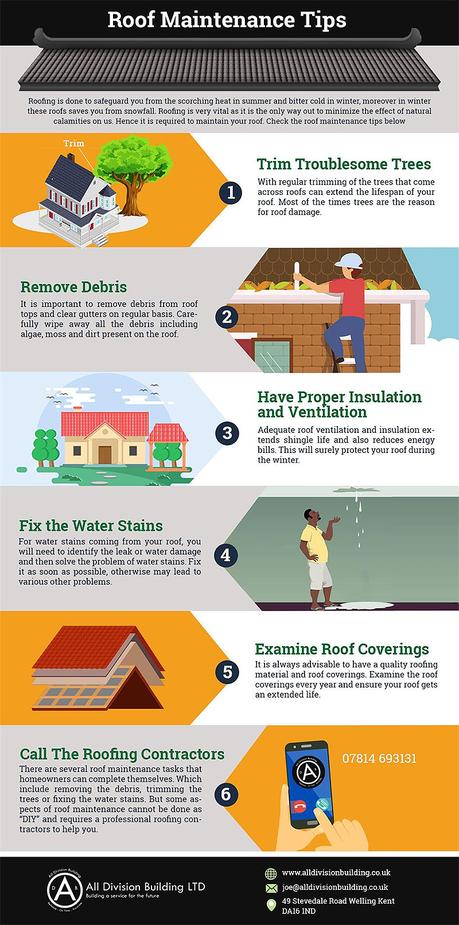 roofing infographic