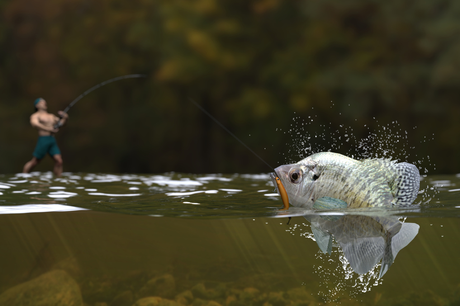 How to Catch Crappie