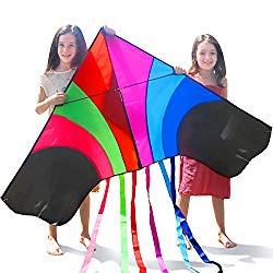 Image: Tomi Kite – Huge Rainbow Kite - Ideal for Kids and Adults – Easy to Launch in Stiff Wind or Soft Breeze – 60 Inches Wide – 100 Meter String – 6 Tails – Built to Last - Great for Family Fun