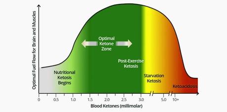 A ketogenic diet for beginners