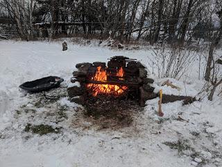 Forest Patch and Fire Pits