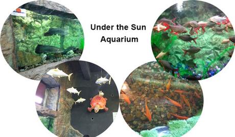 Under the Sun Aquarium Udaipur