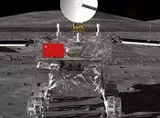 Giant Leaf Mankind Cotton Sprouts Moon