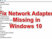 Network Adapter Missing Windows