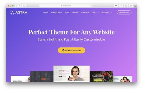 Pros and Cons of Using the WP Astra WordPress Theme