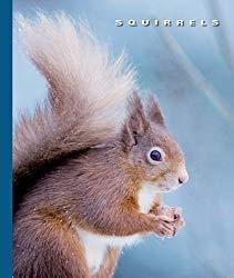 Image: Squirrels (The World of Mammals Book 1244), by Peter Murray (Author). Publisher: The Child's World, Inc. (January 1, 2014)