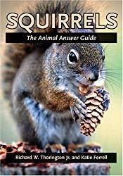 Image: Squirrels: The Animal Answer Guide (The Animal Answer Guides: Q+A for the Curious Naturalist), by Richard W. Thorington Jr. (Author), Katie E. Ferrell (Author). Publisher: Johns Hopkins University Press (August 28, 2006)