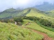 Climbing Coorg’s Highest Peak: Tadiandamol
