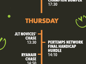 Cheltenham Festival Infographic