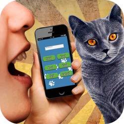 Image: Cat Translator 3D sound, by Rapt Inc Games | With it, you will be able to know what thinks and what he wants your cat