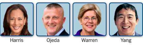 We Have Eight 2020 Democratic Candidates (So Far)