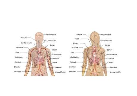 Intermittent Fasting: Lifestyle And Health Benefits Intermittent Fasting: Lifestyle And Health Benefits