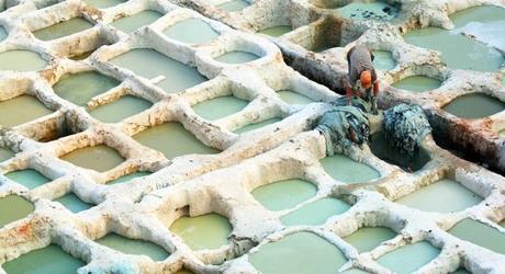 The world's oldest tanneries in Fes