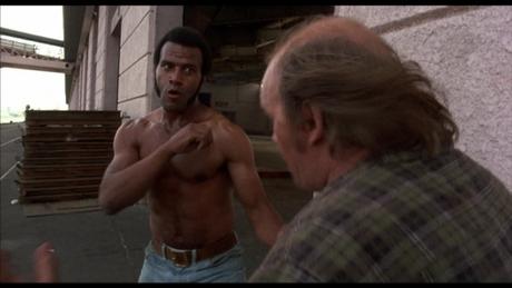 Spotlight On: Fred Williamson Spotlight On: Fred Williamson