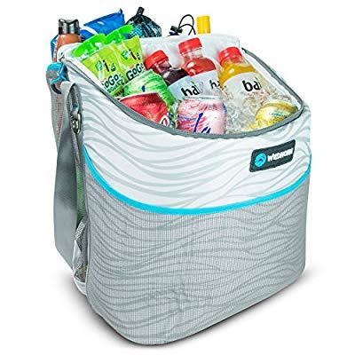 Wildhorn Tortuga Beach Bag Cooler Review