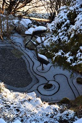 My Zen Garden  . .