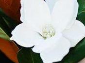 Beautiful Single-Stem Wedding Bouquets