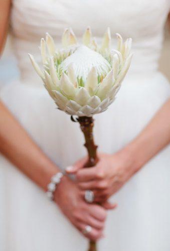 single stem wedding bouquets white protea Lisa Hessel Photography