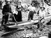 January 24th Featuring Gold Rush Freebies!