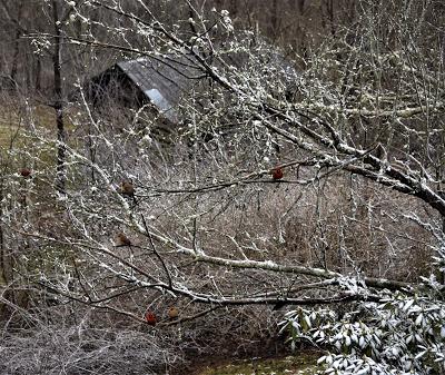 Shhh-- We're Bird Watching