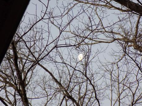 'Ordinary Faithfulness': Annual Church retreat 2019