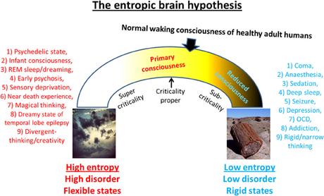 Default mode network as seat of our ego - The entropic brain hypothesis