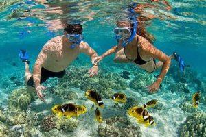 Tampa Bay Florida’s Gulf Coast- Top 5 Activities