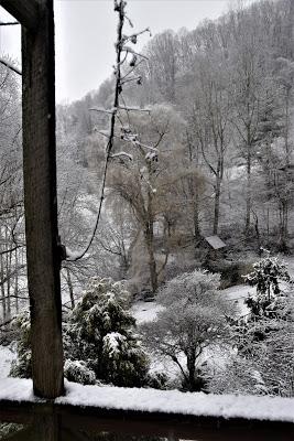 First the Primrose, Then . . .