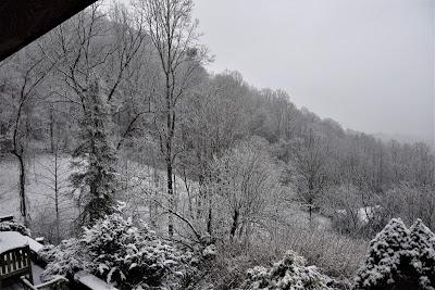 First the Primrose, Then . . .