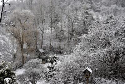 First the Primrose, Then . . .