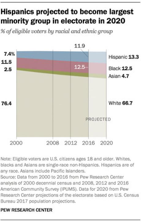 What The 2020 Electorate Will Look Like