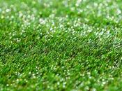 Advantages Artificial Grass Your Home