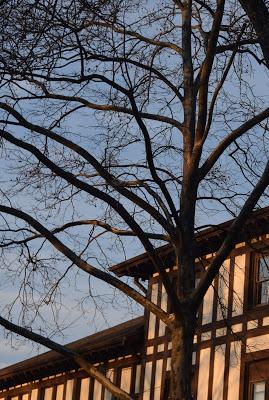 At The Asheville School