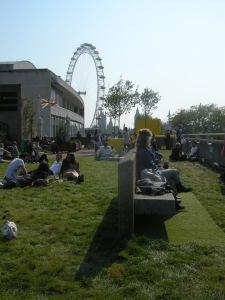 rooftop garden of the Queen Elizabeth Hall