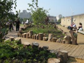 rooftop garden of the Queen Elizabeth Hall