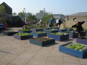 rooftop garden of the Queen Elizabeth Hall